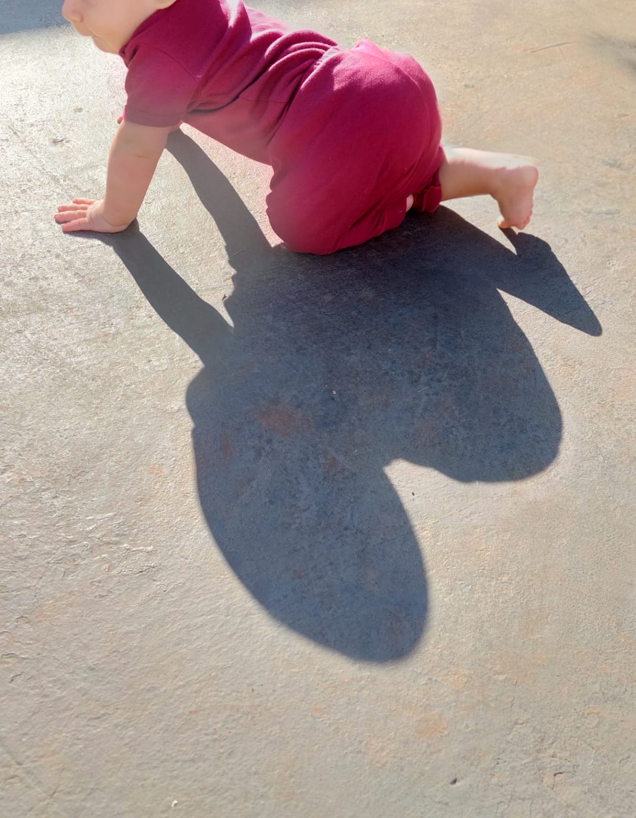 Fotos site (1) Fotos site (1)